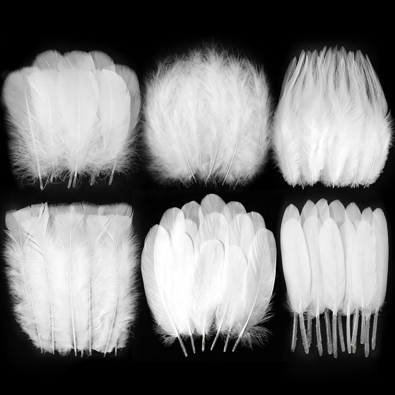 Larryhot White Craft Feathers Bulk - 240pcs 6 Style Mixed Natural Feathers for Wedding Home Party, Dream Catcher Supplies and DIY Crafts (White) - Image 1